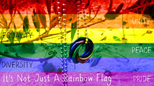 Not Just A Rainbow Flag.